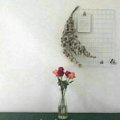 世界弹射物语雷霆游戏下载