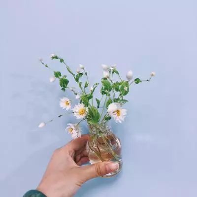 机甲变形队手游